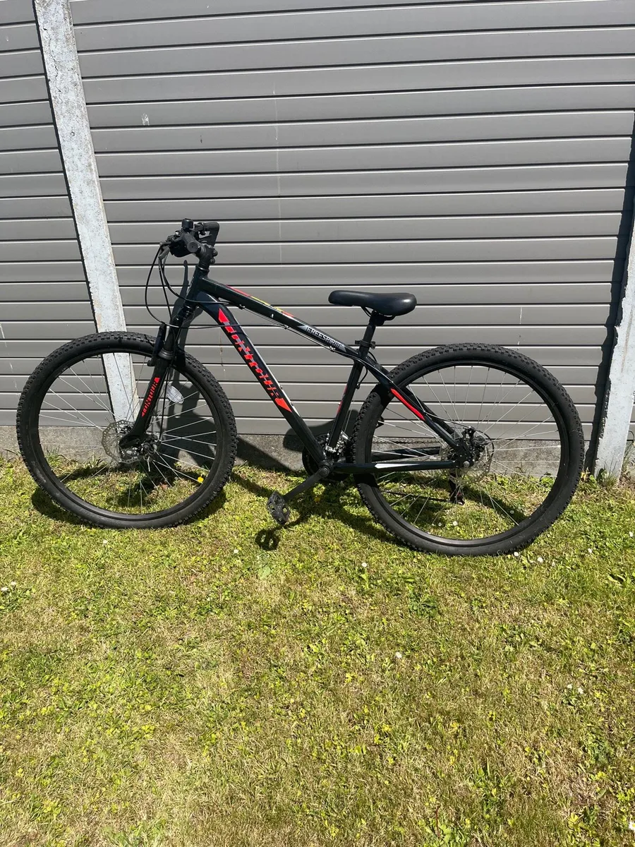 Contour Freespirit Bike - Image 1