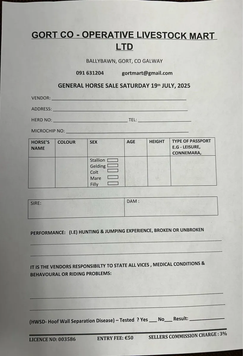 Gort Mart: Horse Sale:19th July - Image 1