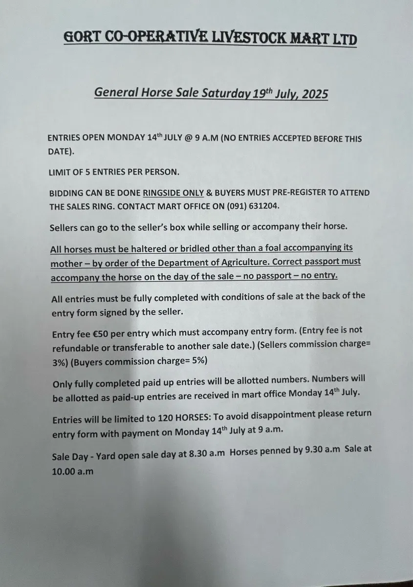 Gort Mart: Horse Sale:19th July - Image 2