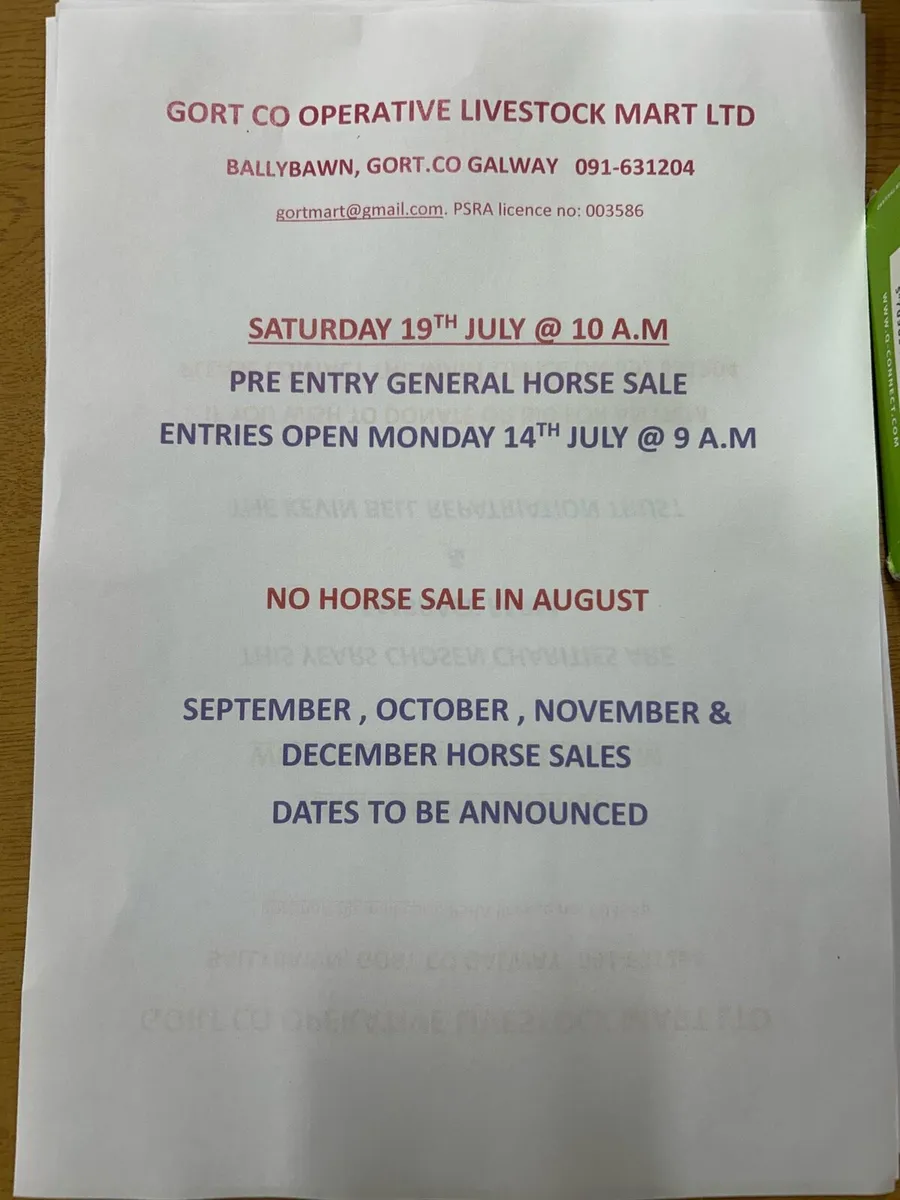 Gort Mart: Horse Sale:19th July - Image 4