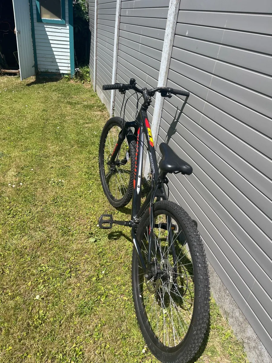 Contour Freespirit Bike - Image 3