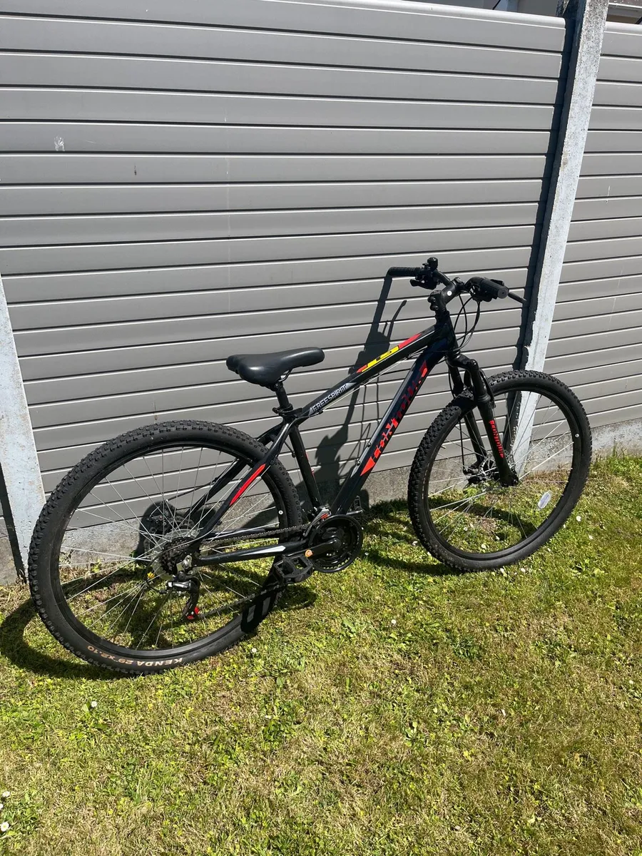 Contour Freespirit Bike - Image 4