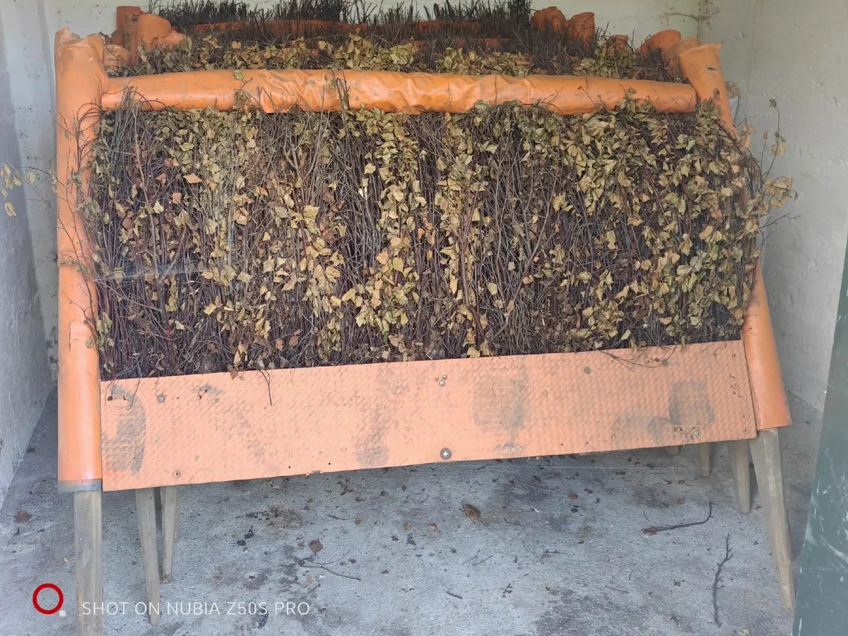 Racing Hurdles