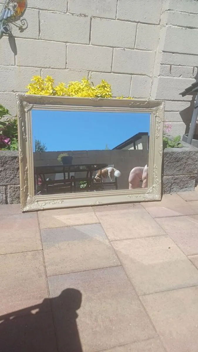 Mirror - Image 1