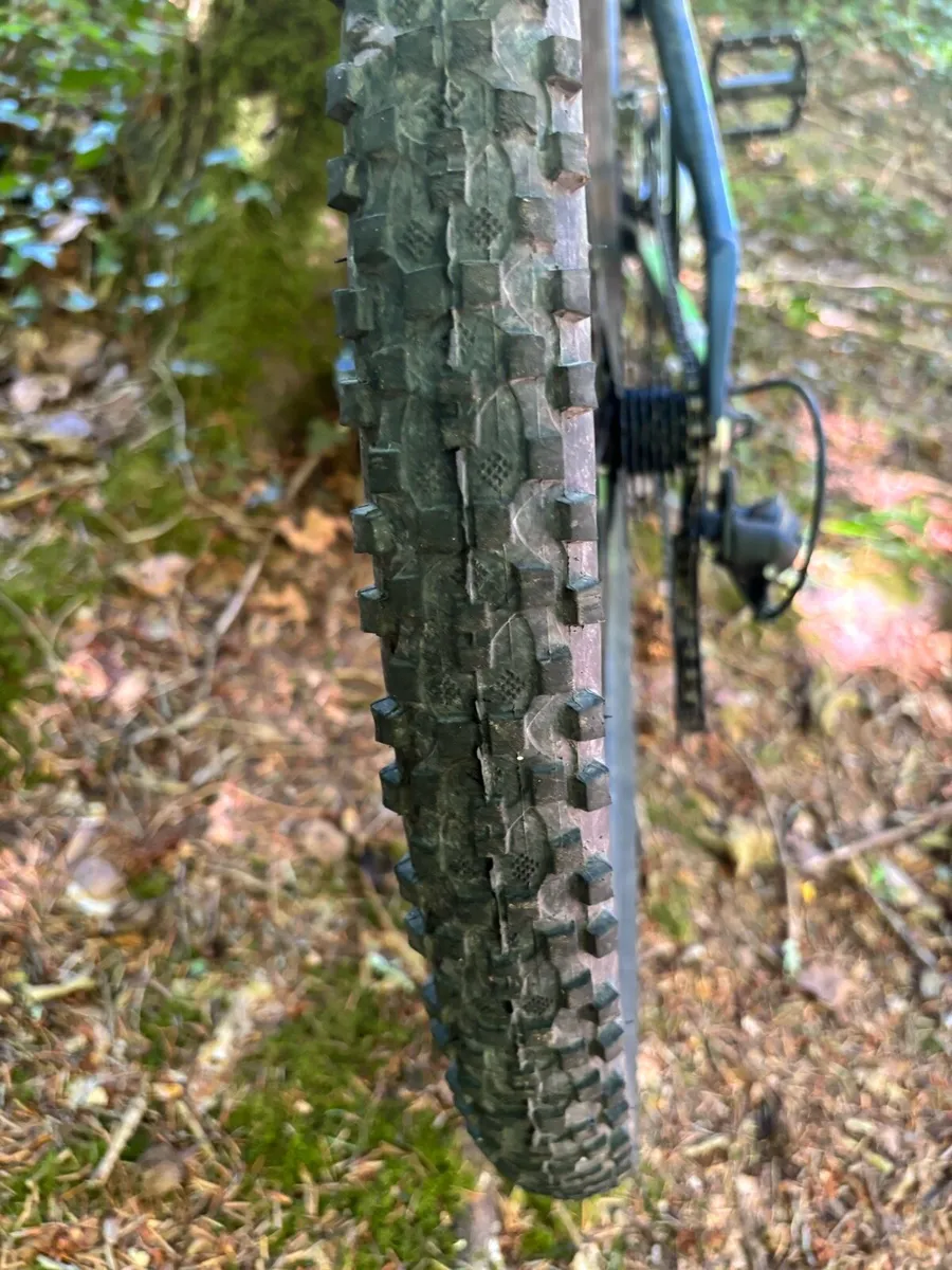 Mountain bike - Image 1