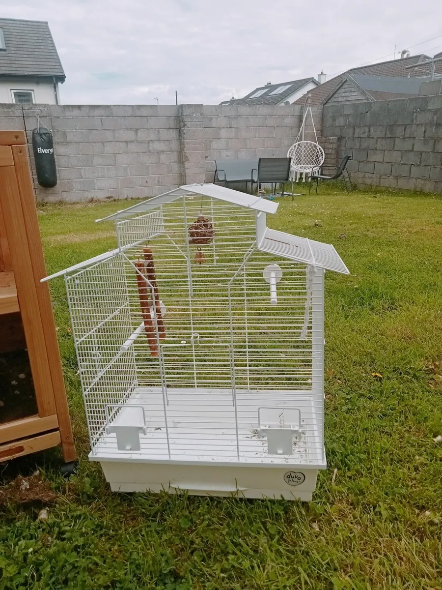 Rabbit hutch - Image 2