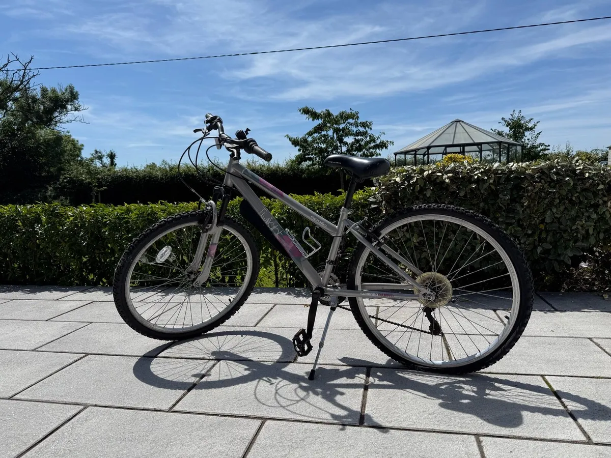 Mountain Bike - Image 1