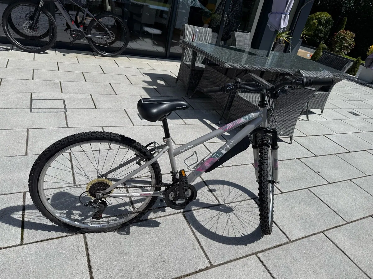 Mountain Bike - Image 2