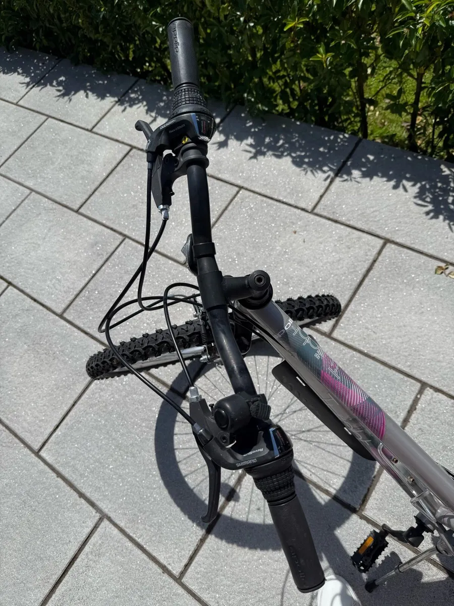 Mountain Bike - Image 3