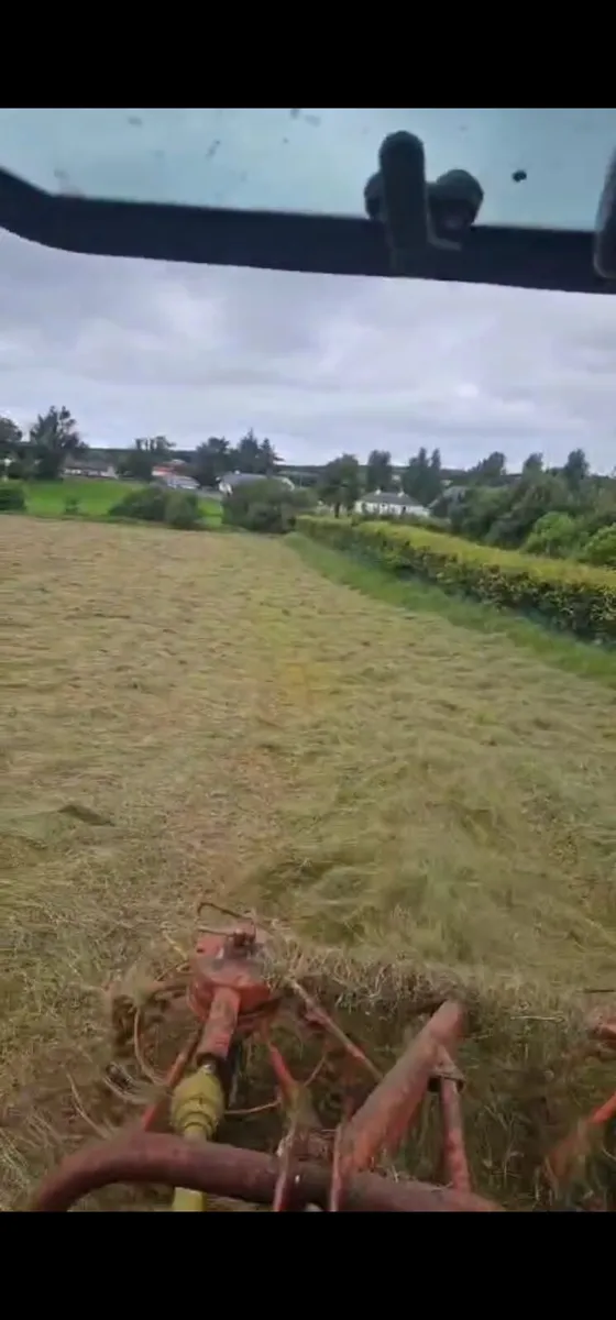 Hay for sale