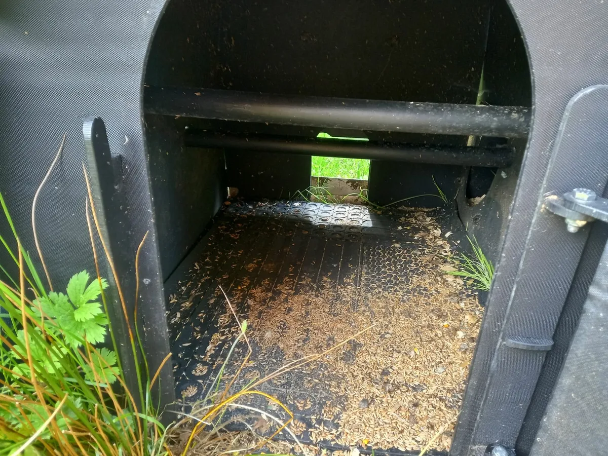 Hen coup - Image 4