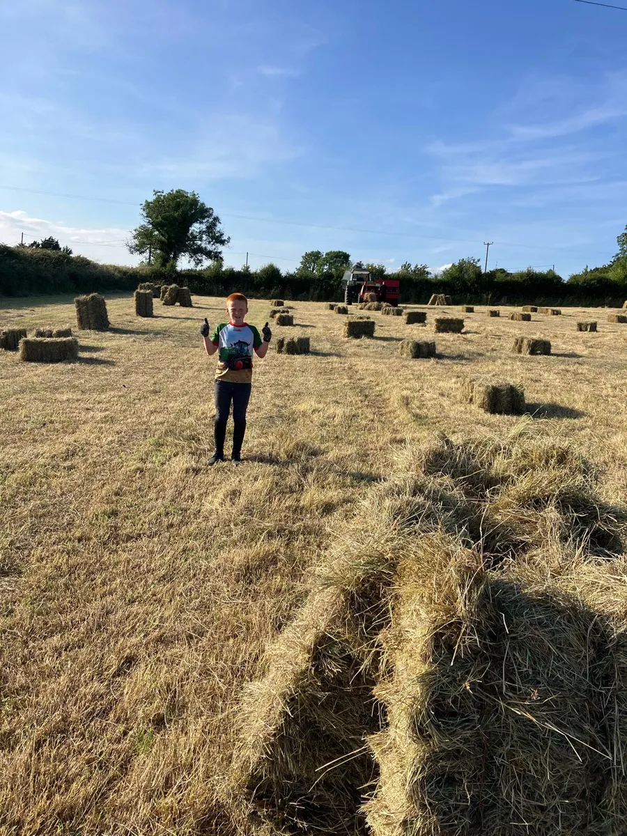 Hay square bales