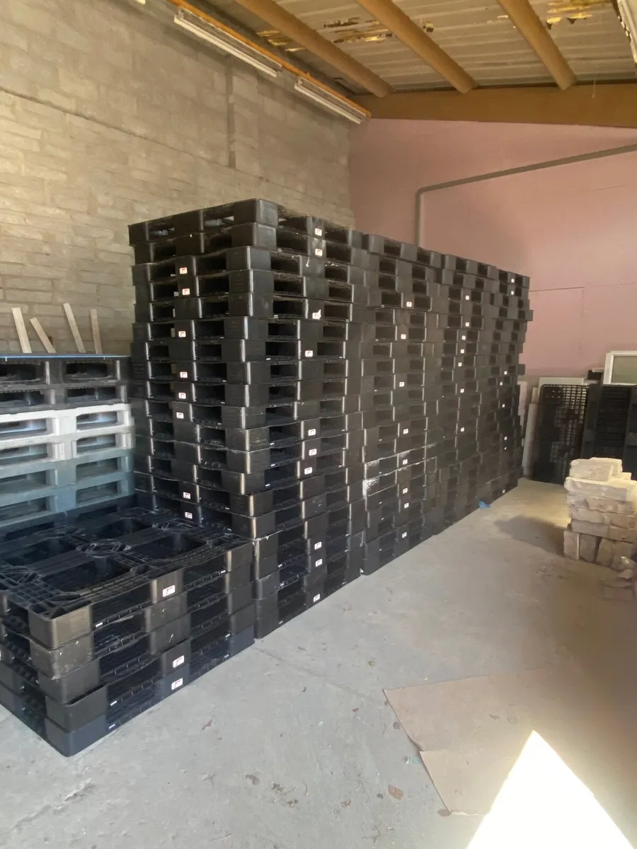 Plastic pallets for sale - Image 1