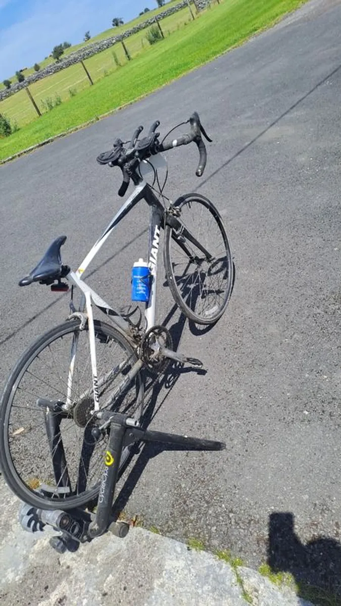 Road  bike  turbo trainer , and mountain bike - Image 1