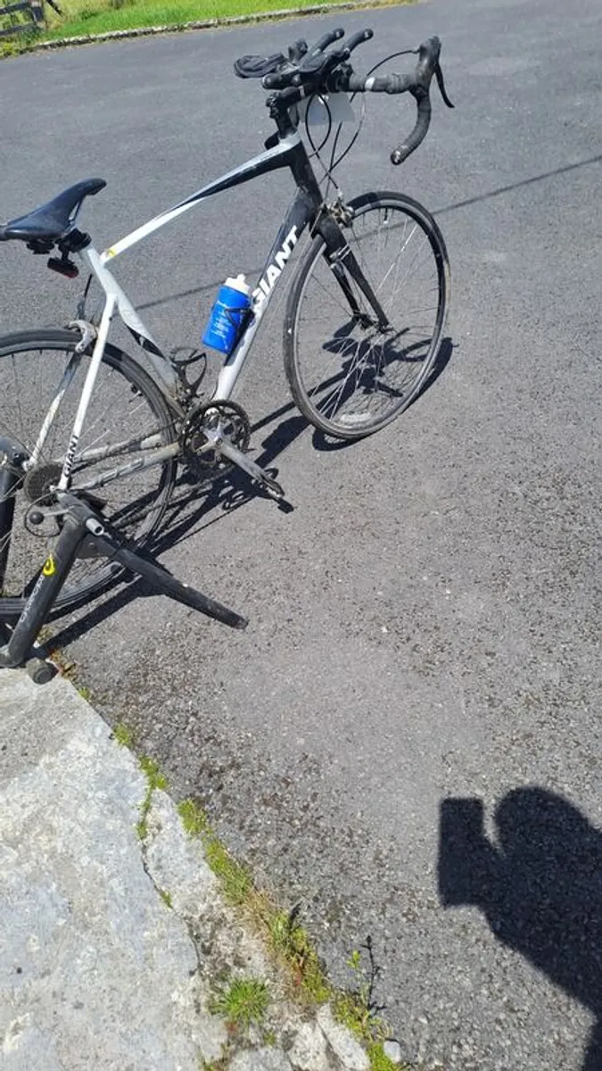 Road  bike  turbo trainer , and mountain bike - Image 2