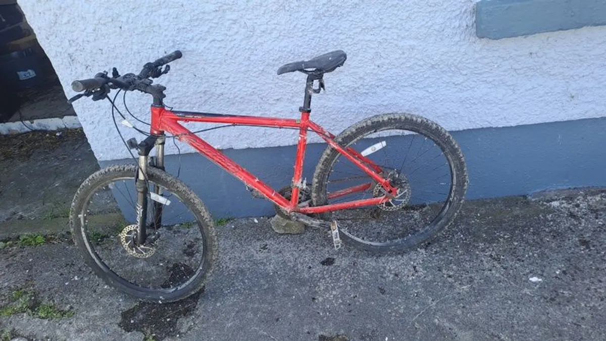 Road  bike  turbo trainer , and mountain bike - Image 4