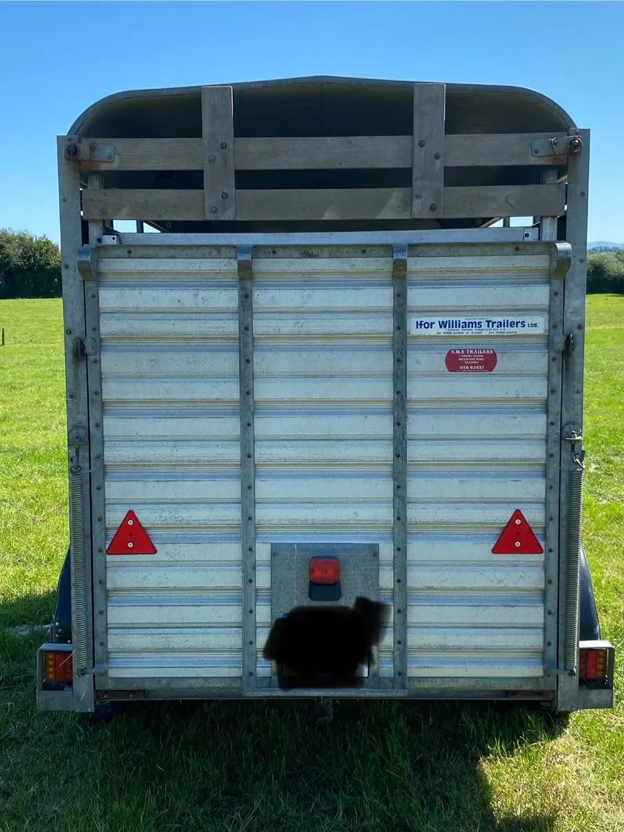 Cattle trailer - Image 2