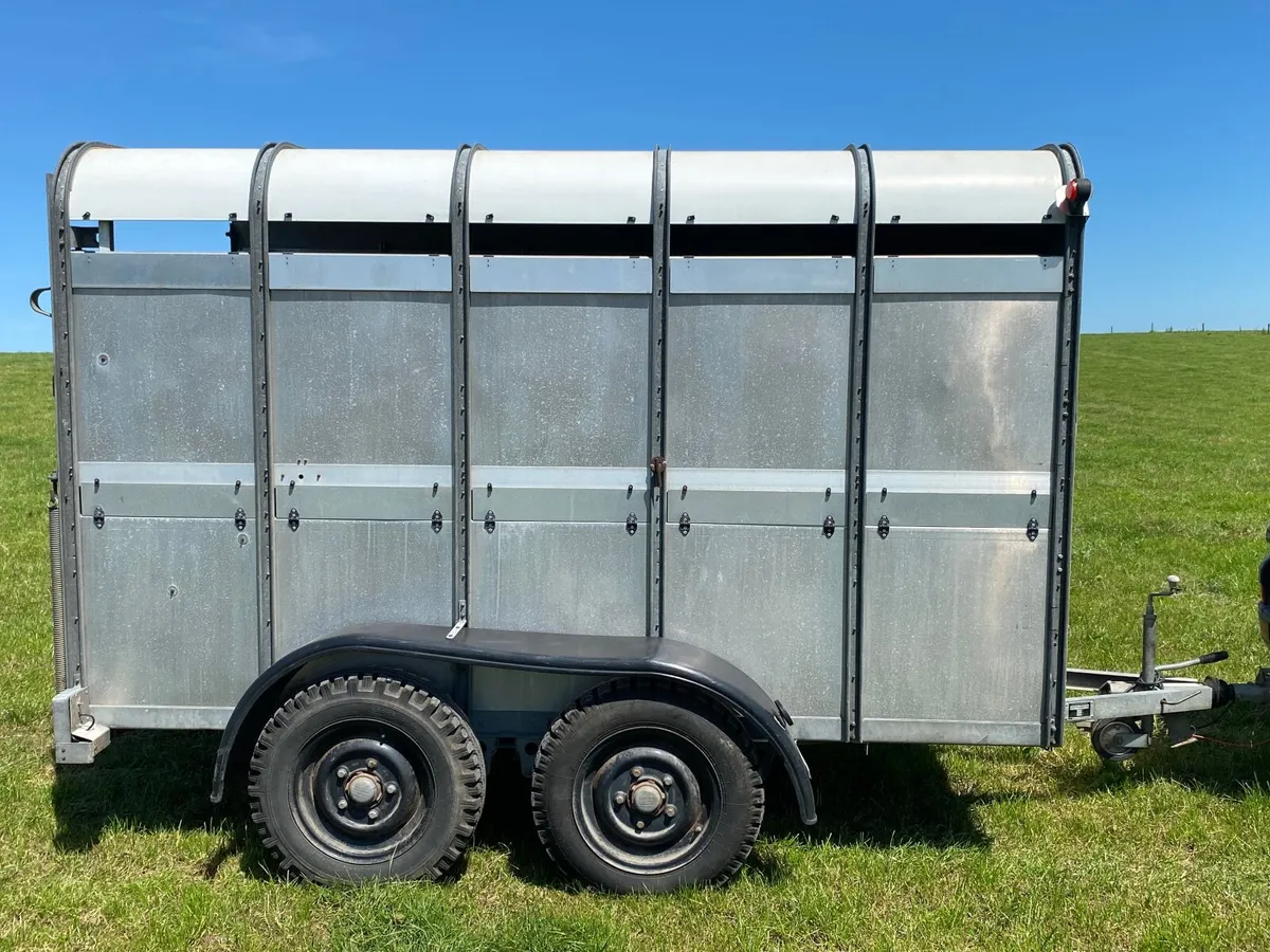 Cattle trailer - Image 3