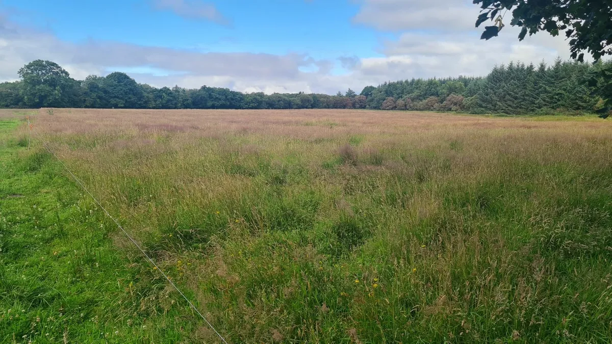 4/5 acres to cut - Image 2