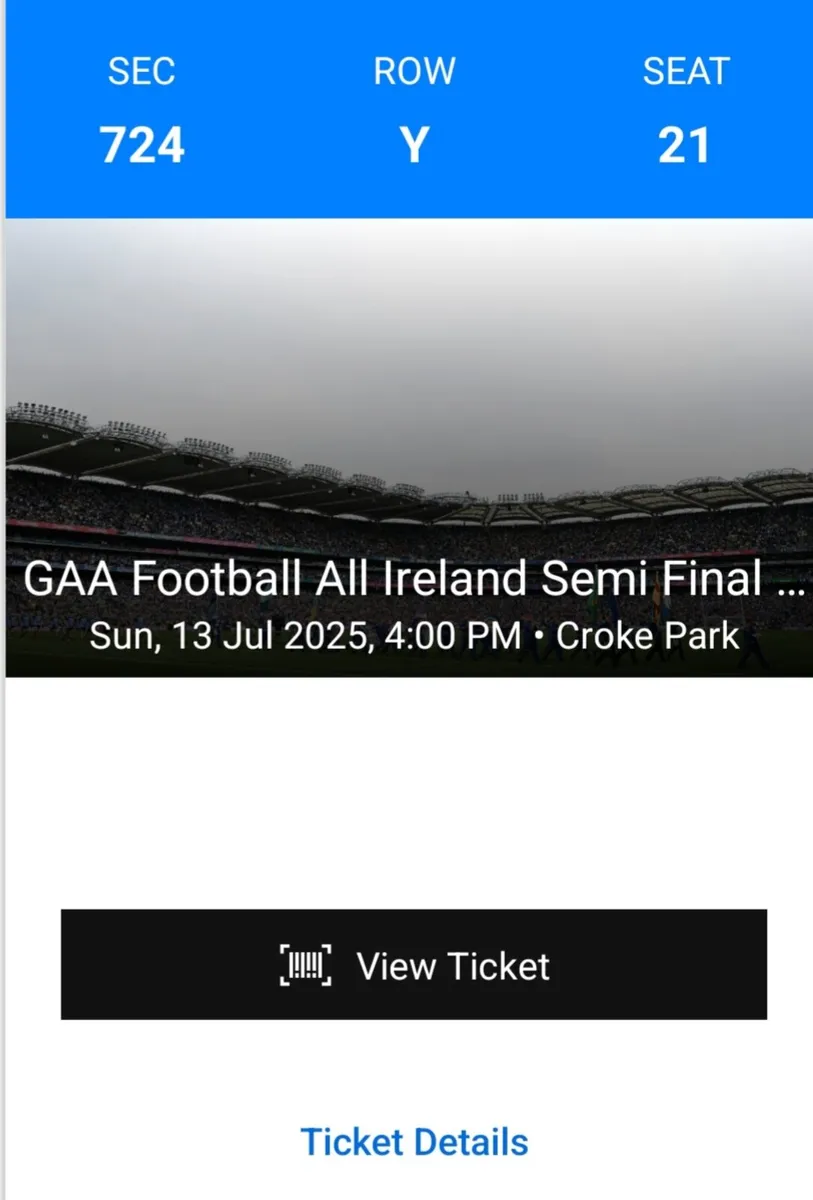 Donegal v Meath All Ireland Semi Final - Image 2