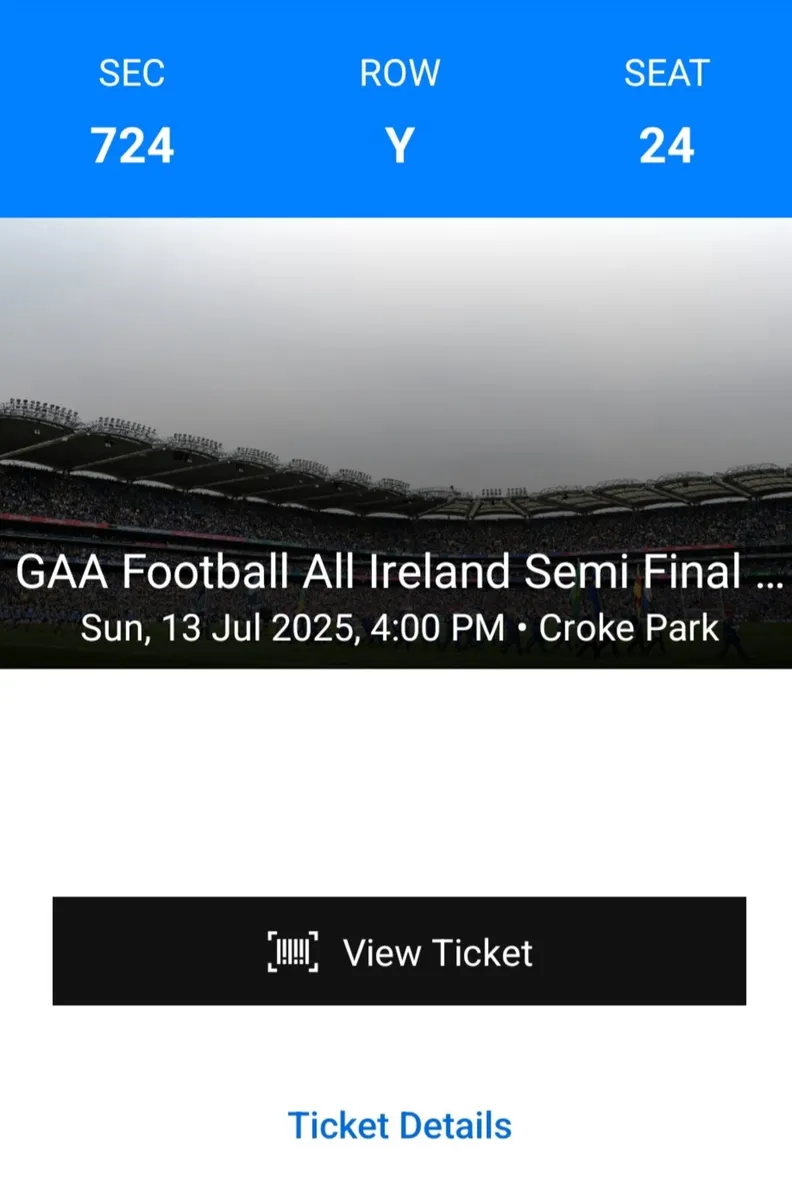 Donegal v Meath All Ireland Semi Final - Image 3