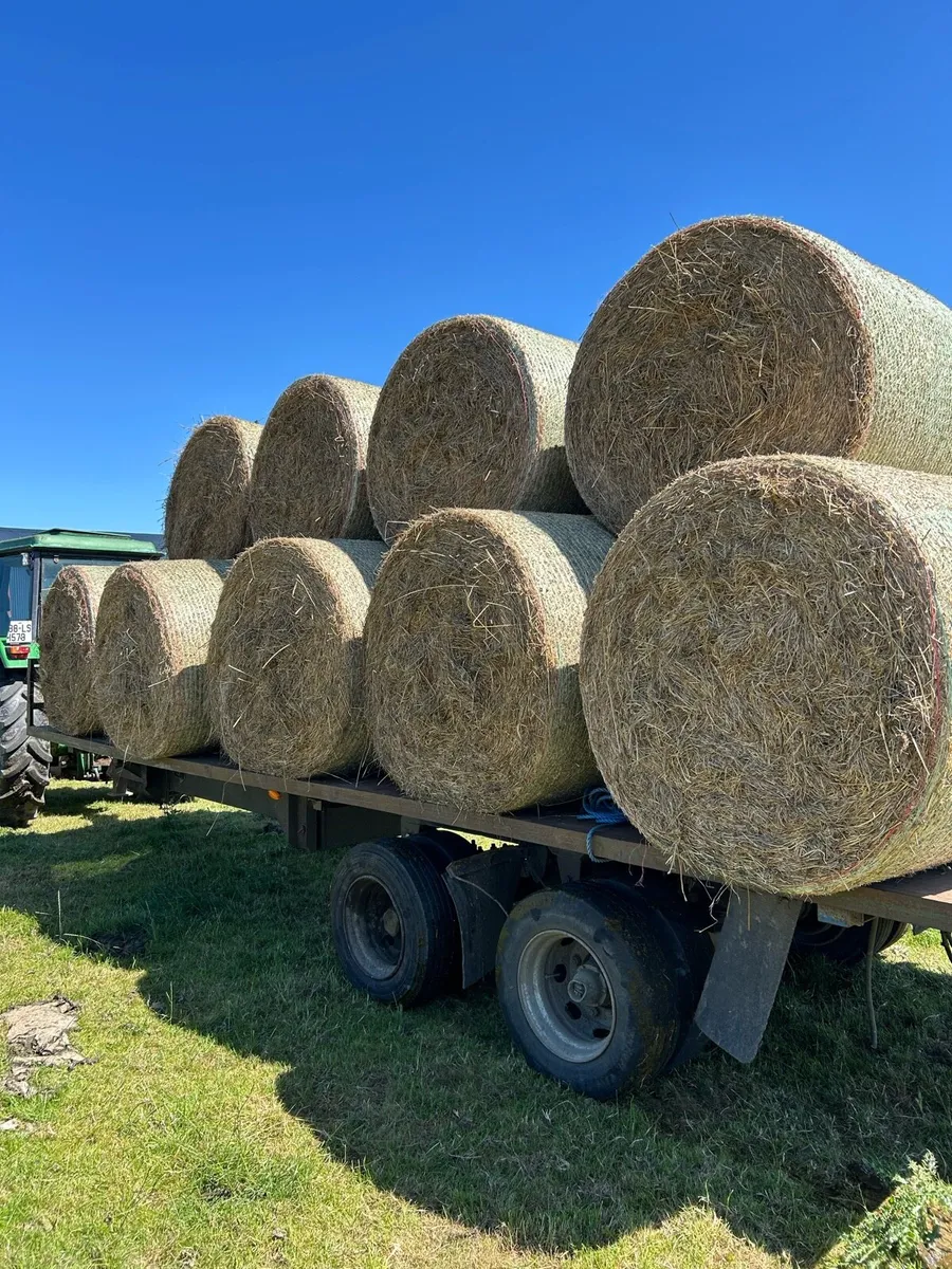 Hay Bales (4x4 Round Bales)