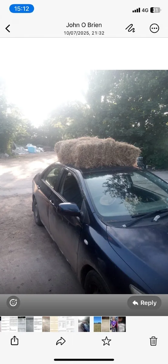 Hay - Image 1