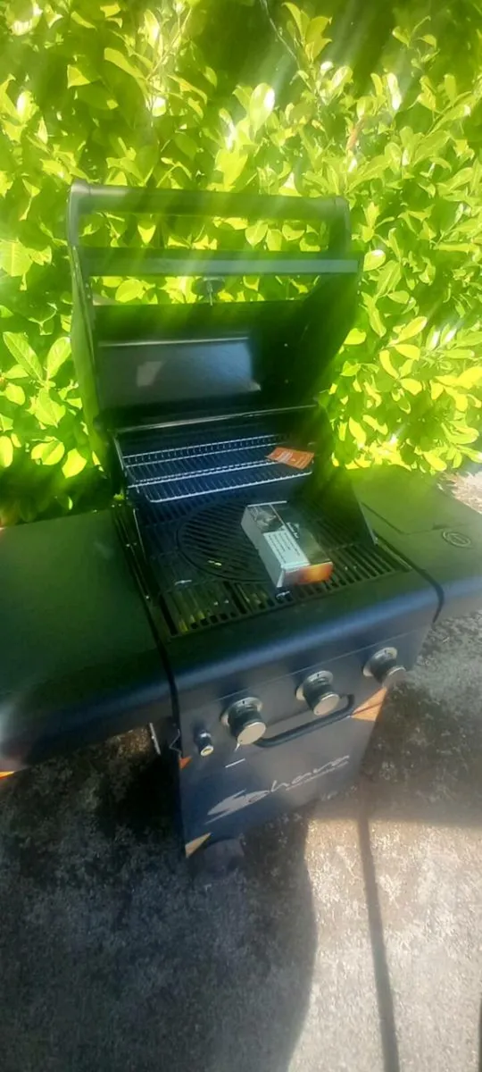BBQ - Image 4