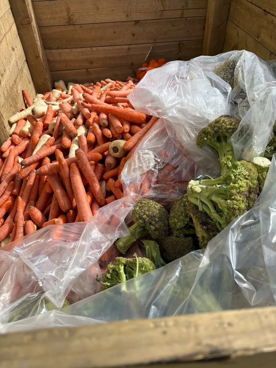 Stockfeed - Image 2