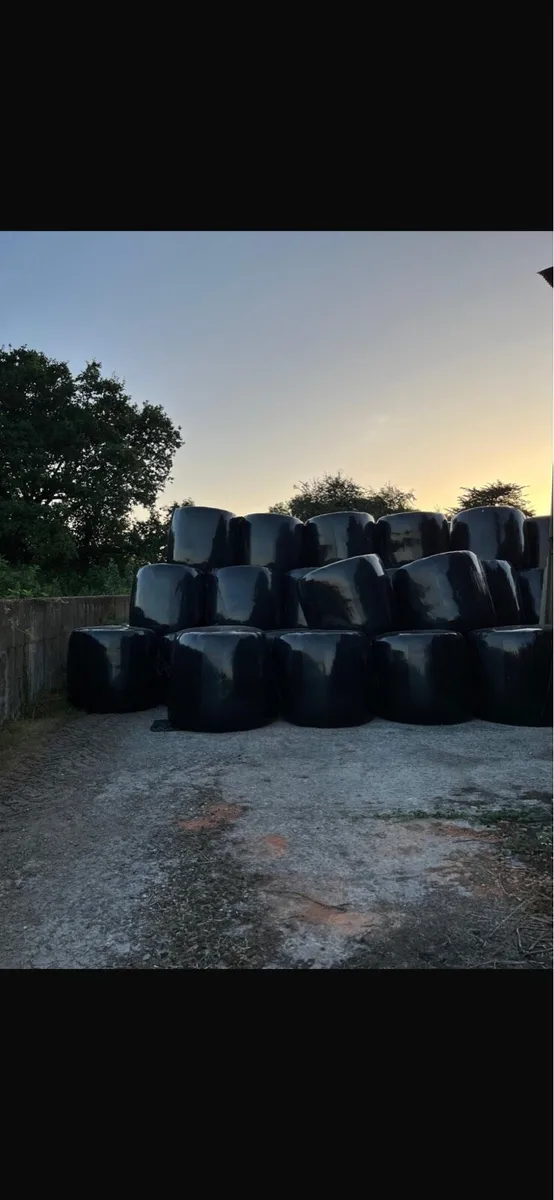Silage bales - Image 1