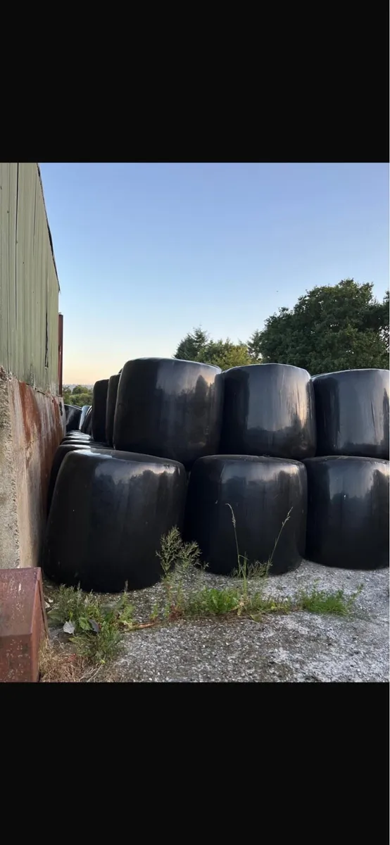 Silage bales - Image 3
