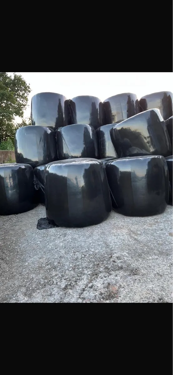 Silage bales - Image 4