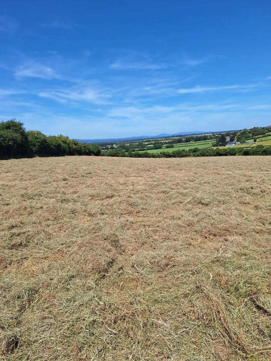 Round Bales of Hay - Image 1
