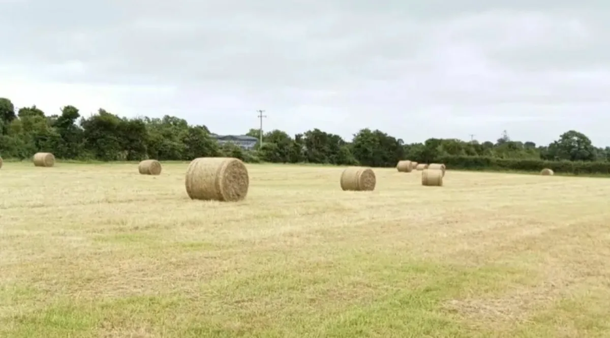 Round Bales of Hay - Image 3