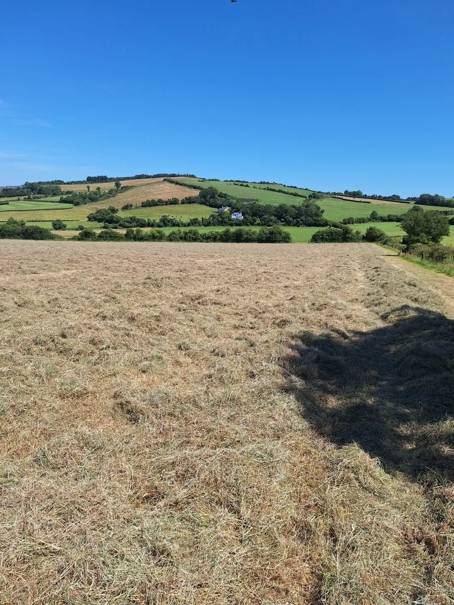 Round Bales of Hay - Image 4
