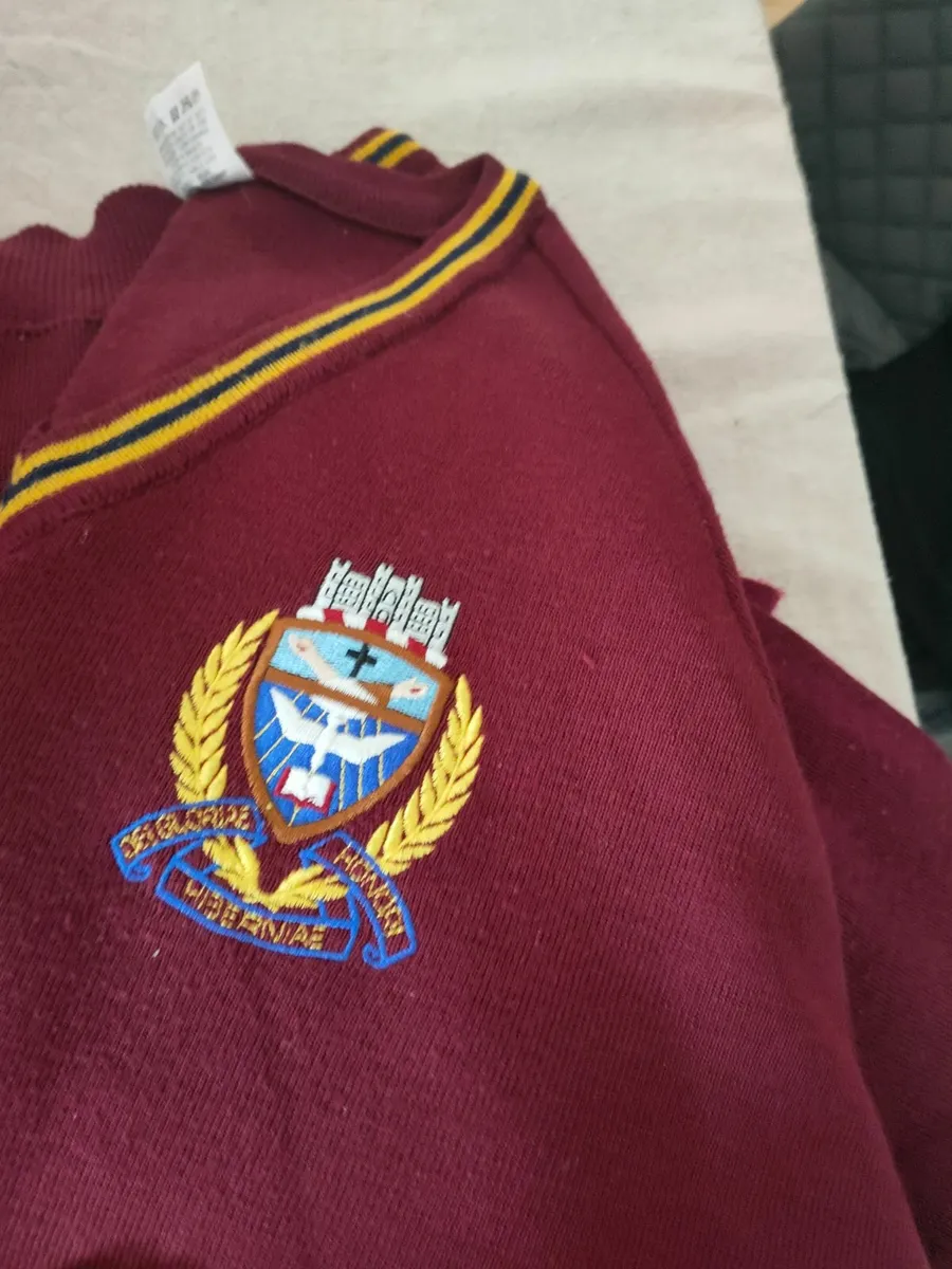 Gormanston College School Balbriggan - Image 4