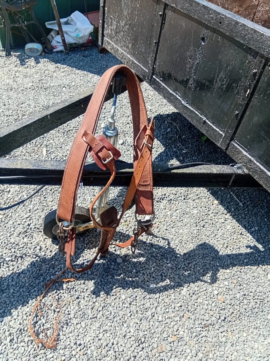Harness - Image 1
