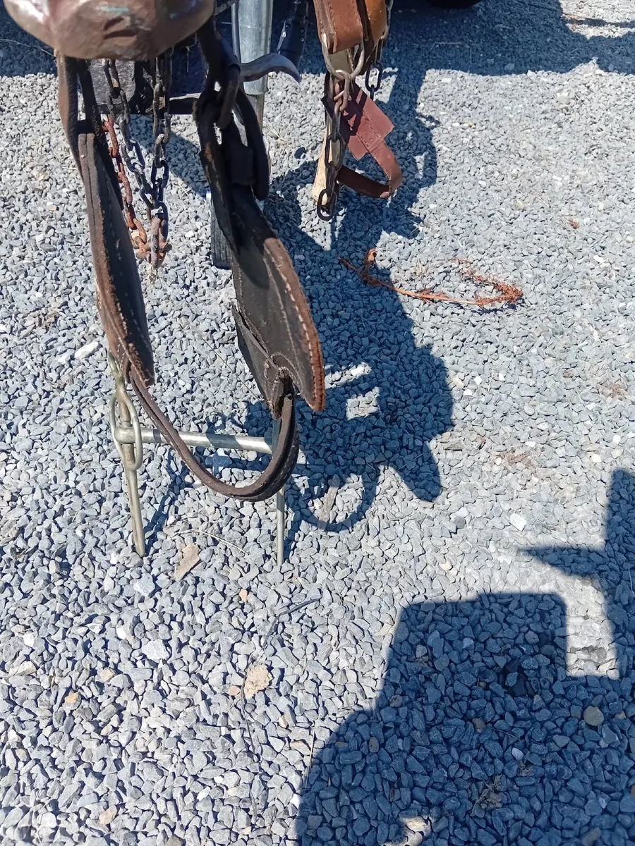 Harness - Image 2