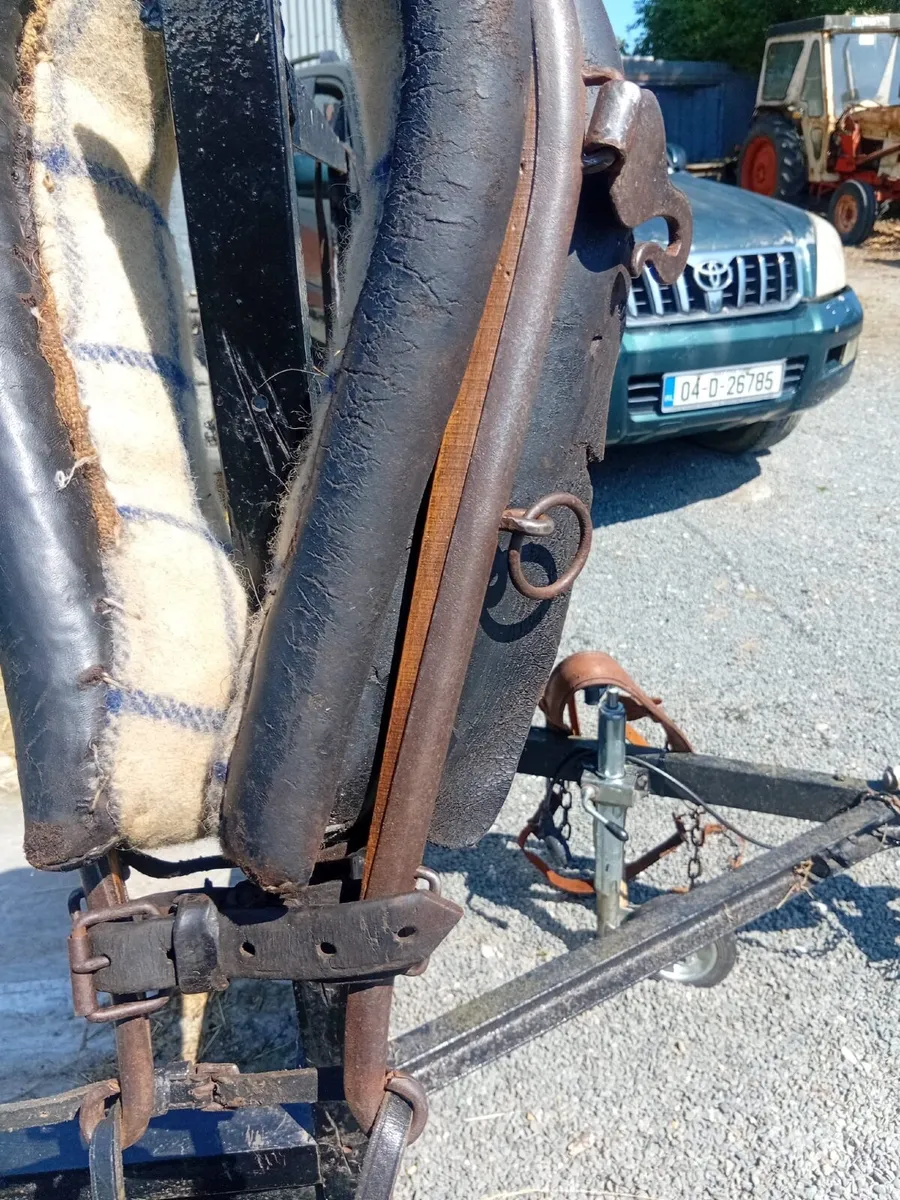 Harness - Image 4