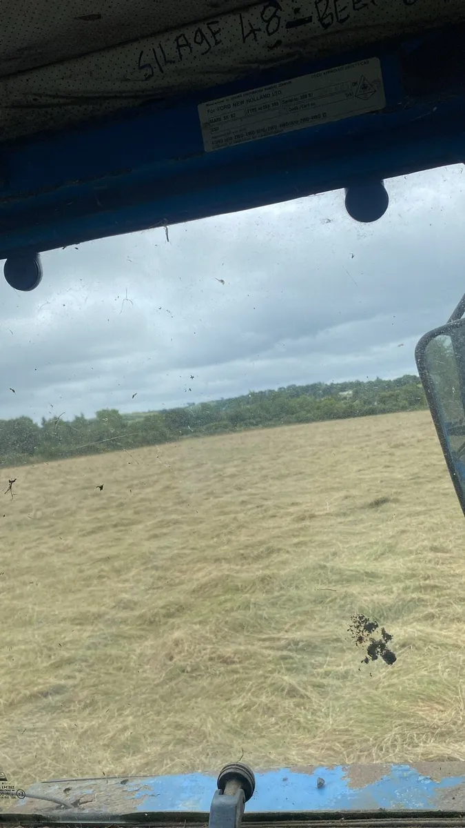 Horse hay