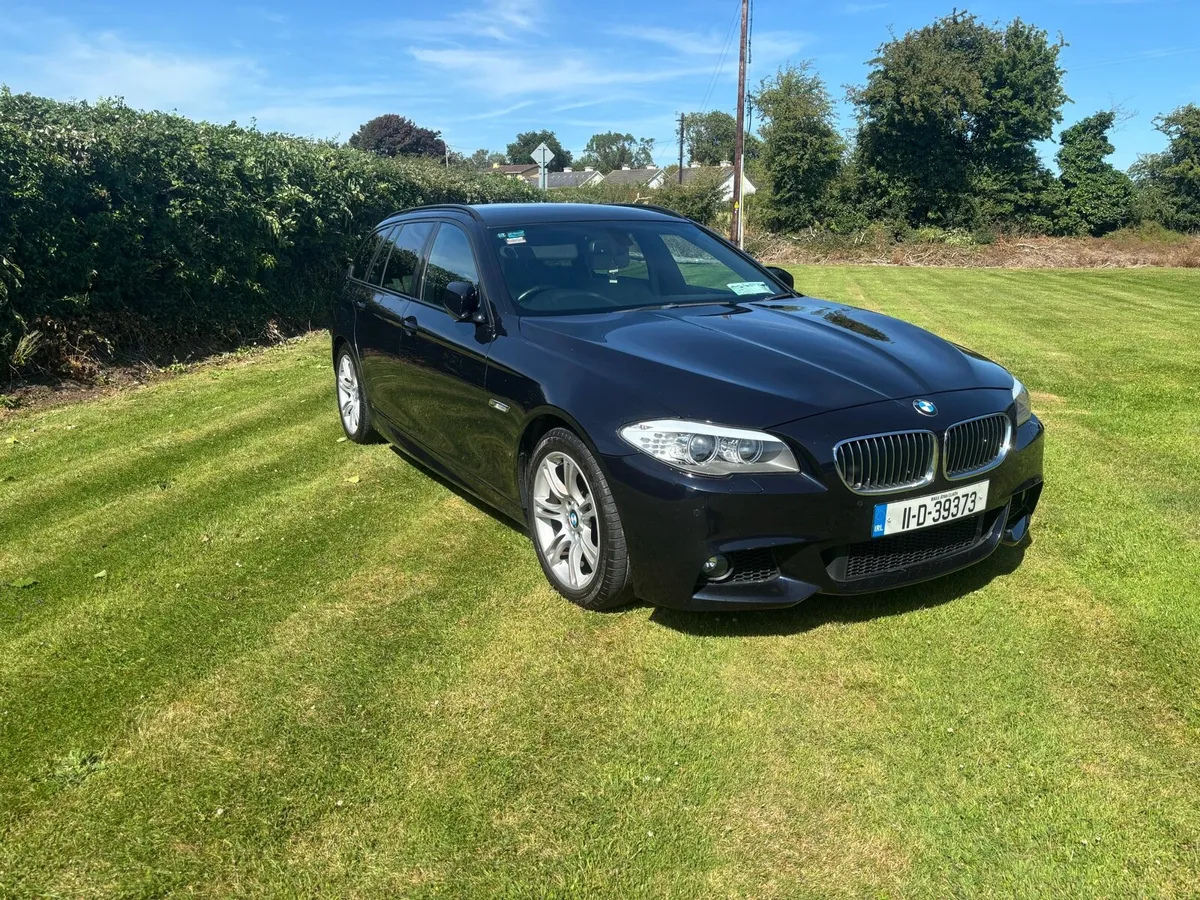 NCT 06/26 2011 520d Msport  low km chain done - Image 2