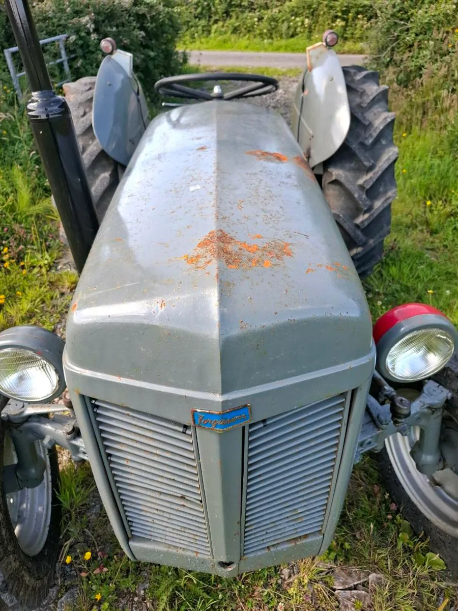 Massey Ferguson 20 Diesel - Image 2