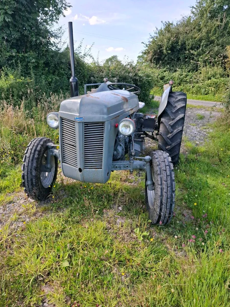 Massey Ferguson 20 Diesel - Image 1