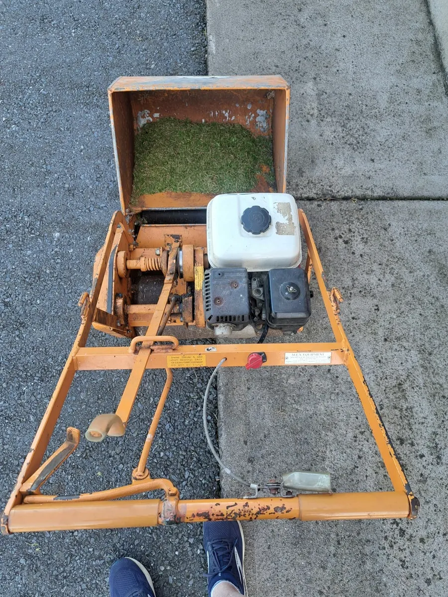 Cylinder Mower - Image 3