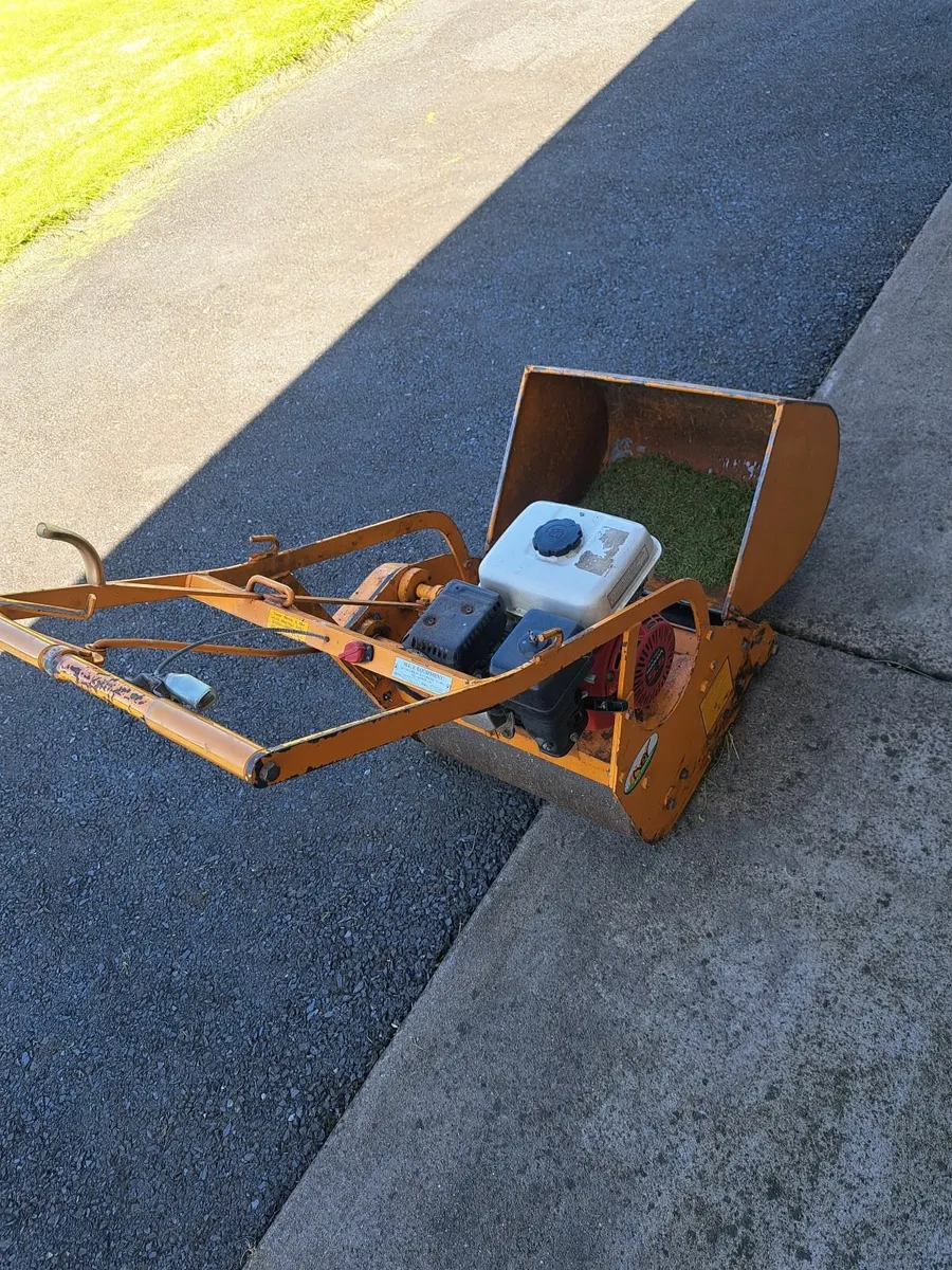 Cylinder Mower - Image 4