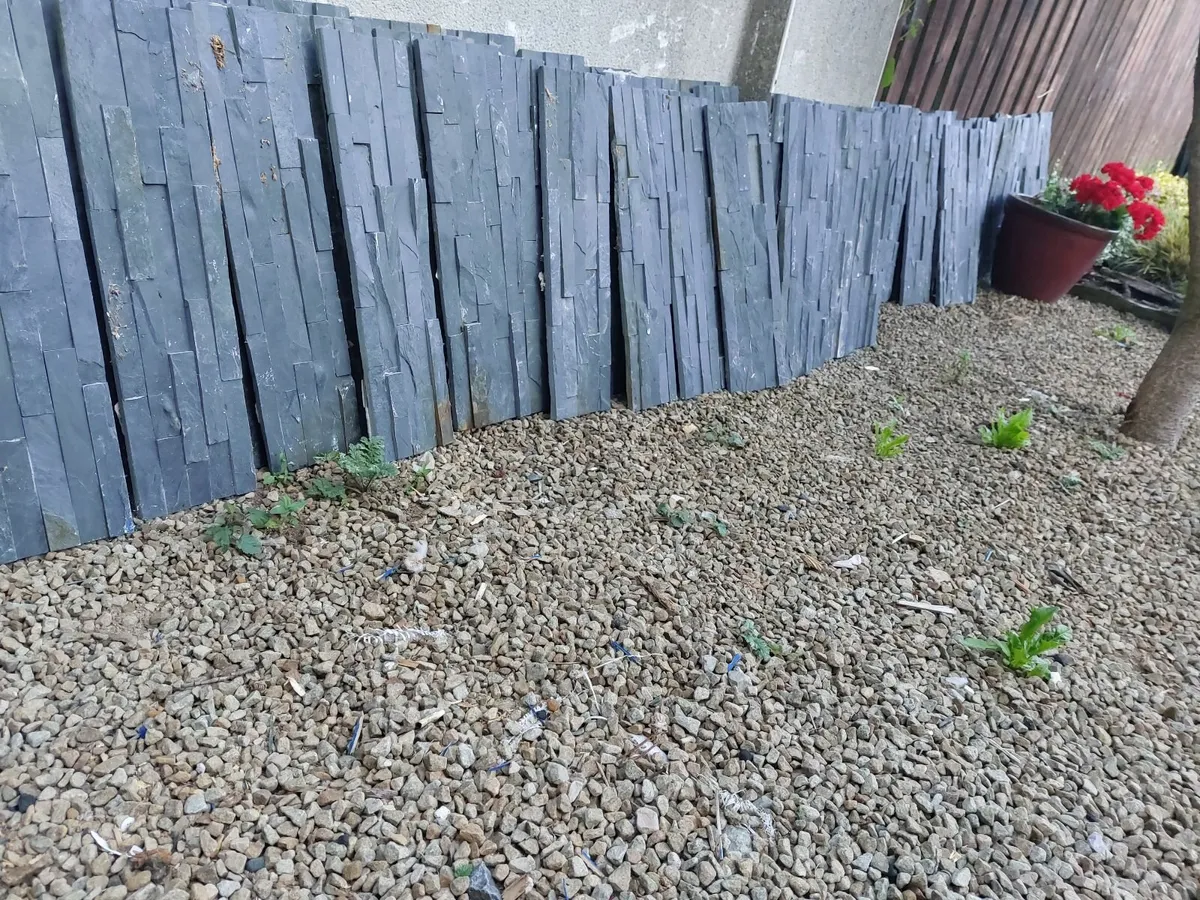 Home - Image 3