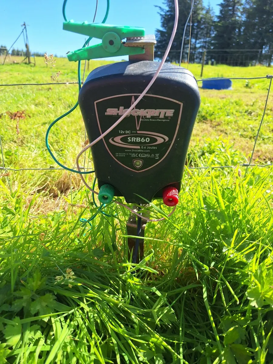 Poultry electric netting and unit - Image 2