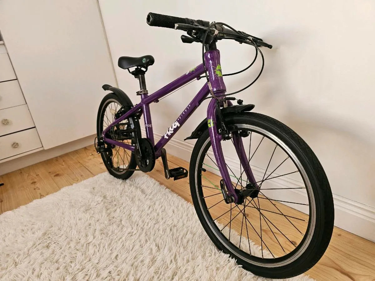 Kids bike Frog. Cycle for child + Gift - Image 2