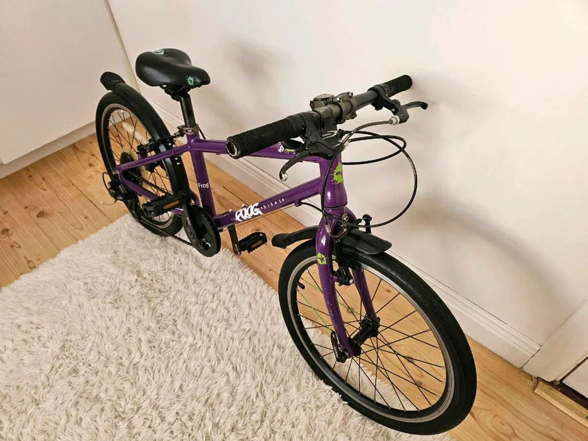 Kids bike Frog. Cycle for child + Gift - Image 4
