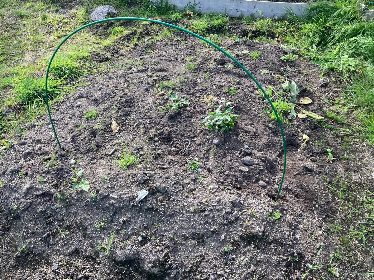 Greenhouse Hoops for Raised Beds  Fiberglass - Image 1